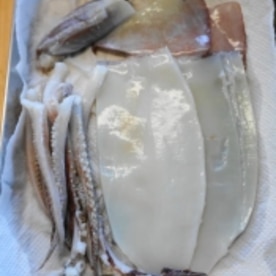 ハサミ使用で意外に簡単 イカのさばき方 レシピ 作り方 By Oppeke22 楽天レシピ ハサミ使用で意外に簡単 イカのさばき方 レシピ 作り方 By Oppeke22 楽天レシピ